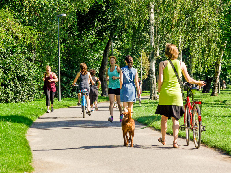 Die Grünanlagen sind wichtige Orte für Sport, Freizeit und Erholung – gleichzeitig sind sie als „grünen Lungen“ für das Stadtklima unersetzlich. Innerer Grüngürtel an der Aachener Straße Foto: Daniel Ullrich